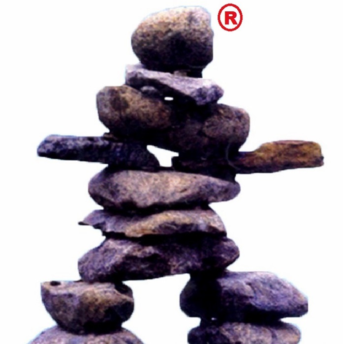 Manasa Defence Academy